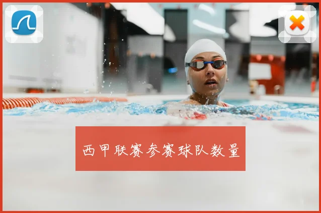 西甲联赛参赛球队数量