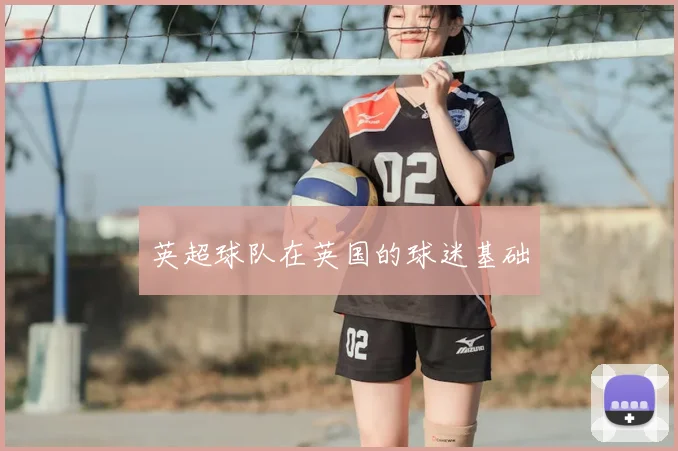 英超球队在英国的球迷基础