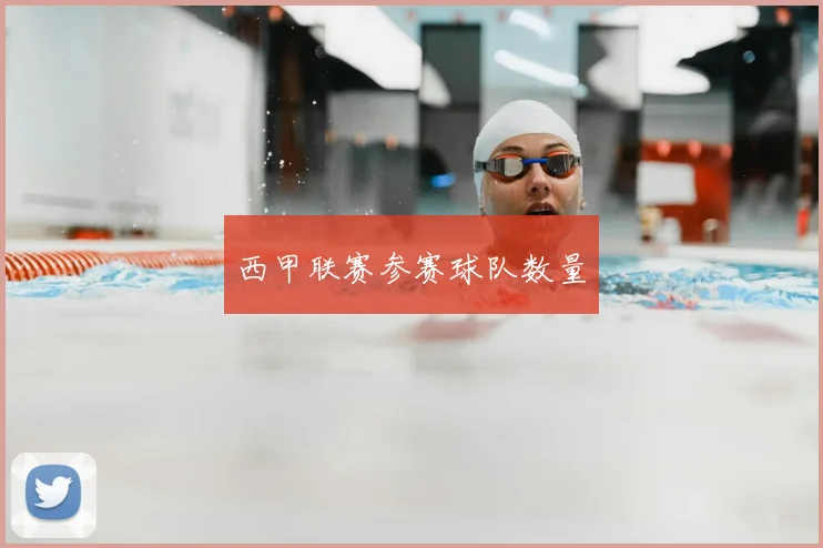 西甲联赛参赛球队数量